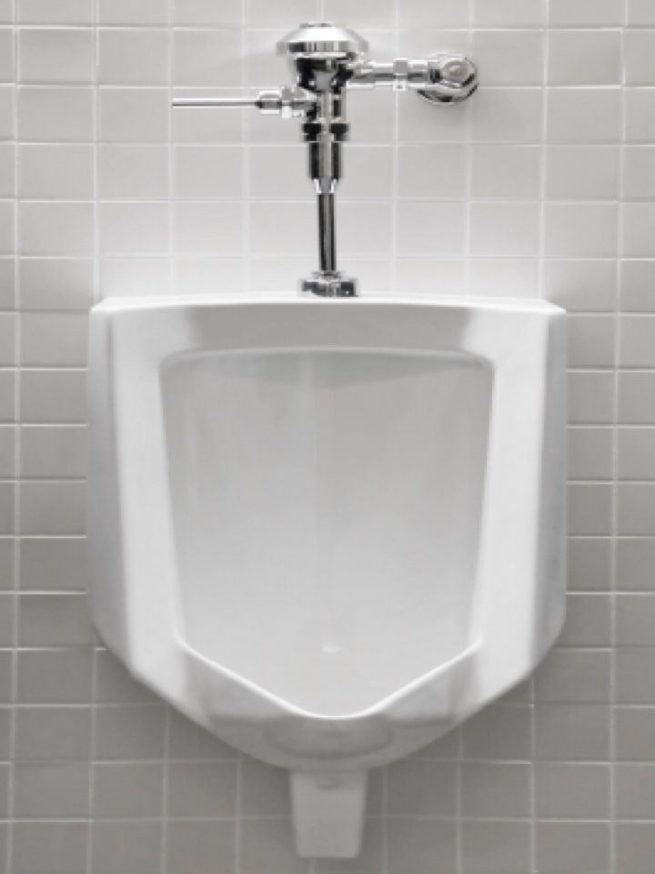 Stanley Park, AB - Plumber needed for urinal unclog Stanley Park, AB - Plumber needed for urinal unclog