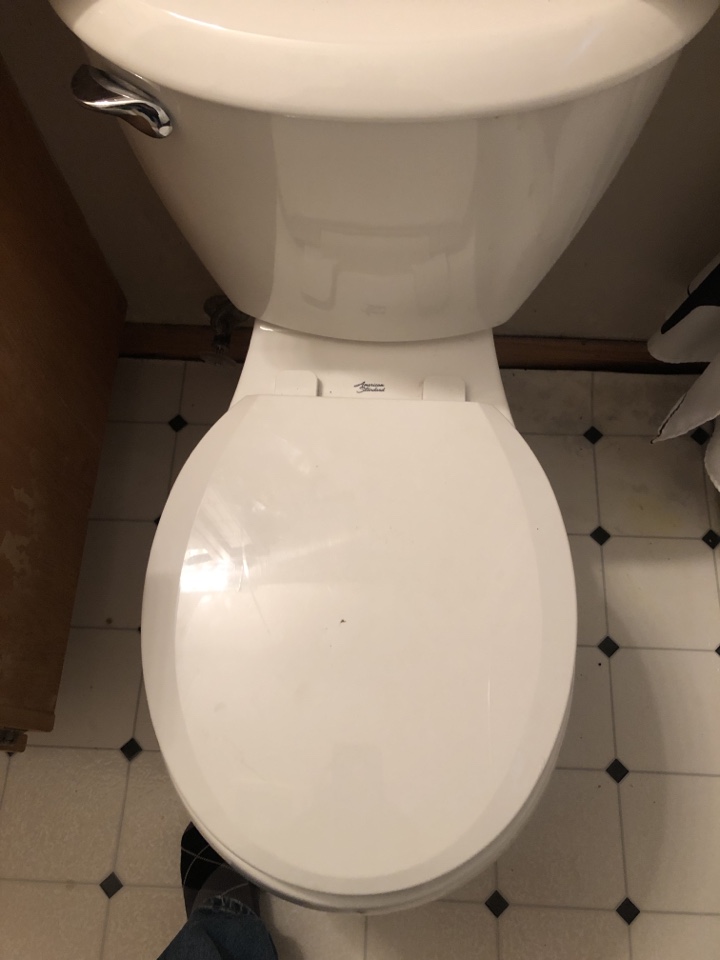 Stanley Park, AB - Plumber required toilet leaking from bowl replaced with new American standard Toilet Stanley Park, AB - Plumber required toilet leaking from bowl replaced with new American standard Toilet
