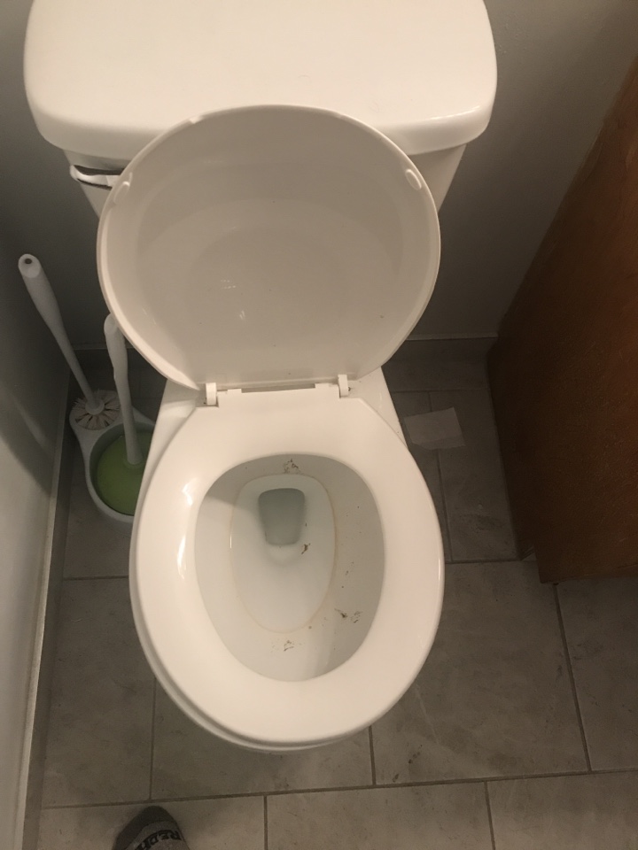 Stanley Park, AB - Plumber required plug toilet cleared Stanley Park, AB - Plumber required plug toilet cleared